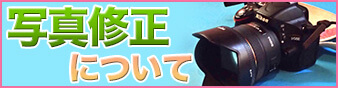 写真修正は一切行っておりません
